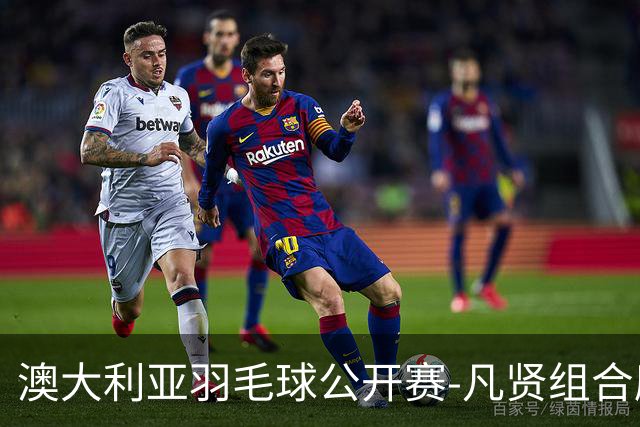 澳大利亚羽毛球公开赛-凡贤组合鏖战进决赛 混双中国揽冠亚